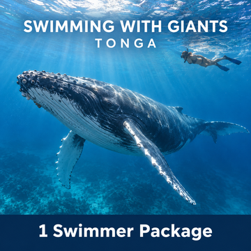Swim With Giants - Tonga XX October to XX October 2027 - 1 Swimmer Package