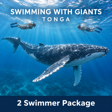 Swim With Giants - Tonga XX October to XX October 2027 - 2 Swimmers Package